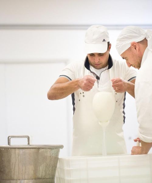 Caseificio Lavorazione Caciocavallo 08