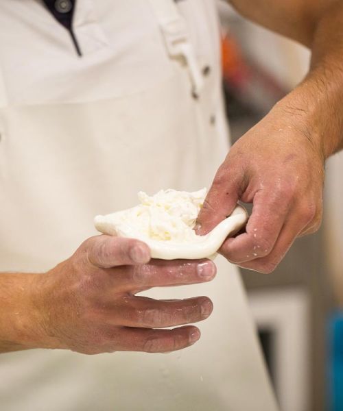 Lavorazione Burrata Con Tracciatella 05